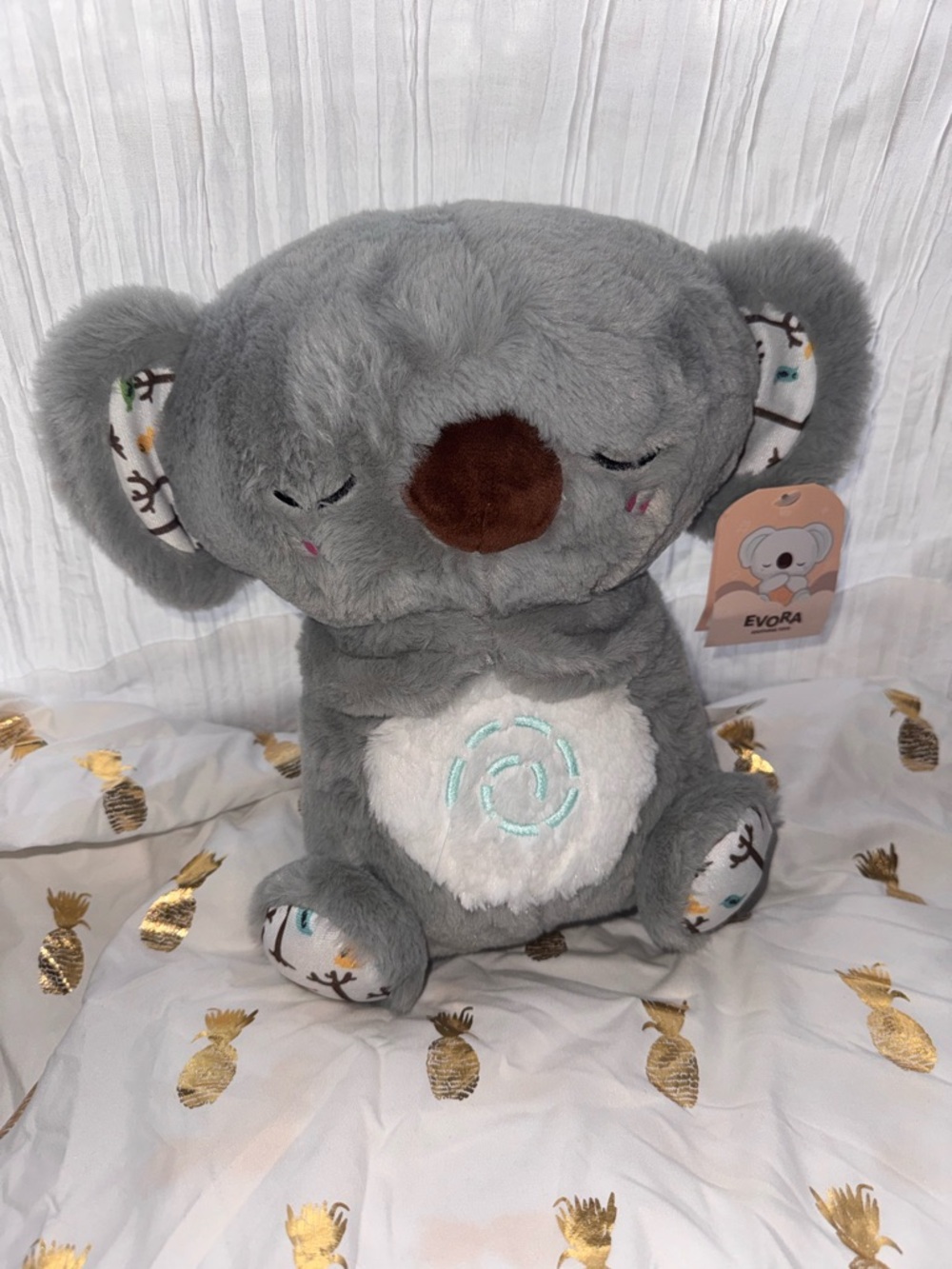 Evora Koala Anxiety Animal